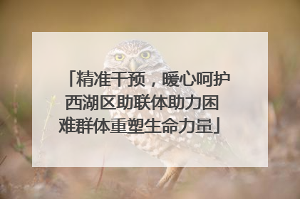 精准干预，暖心呵护 西湖区助联体助力困难群体重塑生命力量