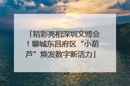 精彩亮相深圳文博会！聊城东昌府区“小葫芦”焕发数字新活力