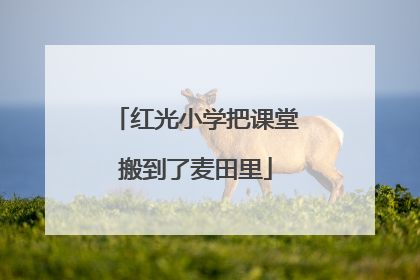 红光小学把课堂搬到了麦田里
