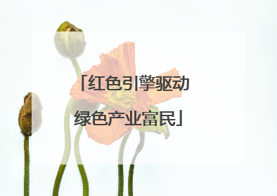 红色引擎驱动 绿色产业富民