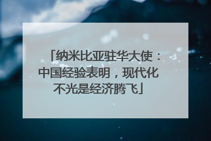 纳米比亚驻华大使：中国经验表明，现代化不光是经济腾飞