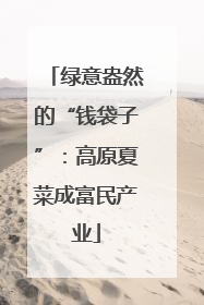 绿意盎然的“钱袋子”：高原夏菜成富民产业