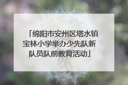 绵阳市安州区塔水镇宝林小学举办少先队新队员队前教育活动