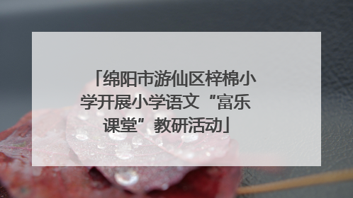 绵阳市游仙区梓棉小学开展小学语文“富乐课堂”教研活动