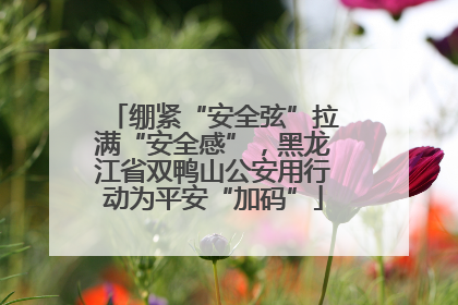 绷紧“安全弦”拉满“安全感”，黑龙江省双鸭山公安用行动为平安“加码”