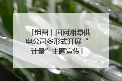 组图｜国网湘潭供电公司多形式开展“计量”主题宣传