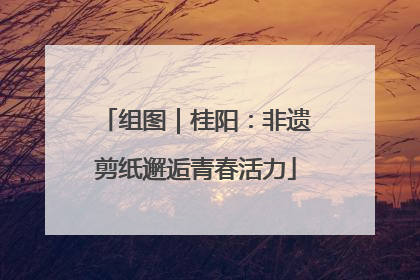 组图｜桂阳：非遗剪纸邂逅青春活力