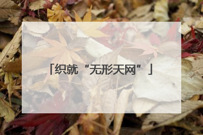 织就“无形天网”