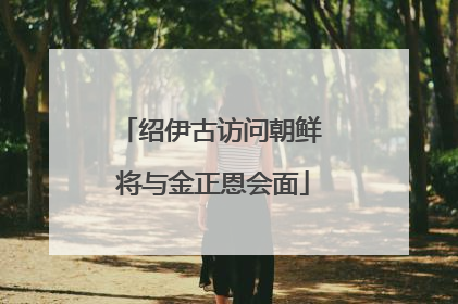 绍伊古访问朝鲜 将与金正恩会面