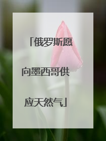 俄罗斯愿向墨西哥供应天然气