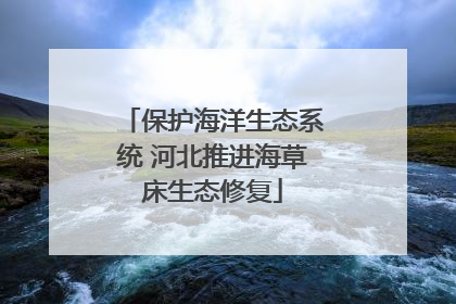 保护海洋生态系统 河北推进海草床生态修复
