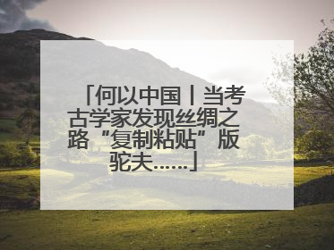 何以中国丨当考古学家发现丝绸之路“复制粘贴”版驼夫……
