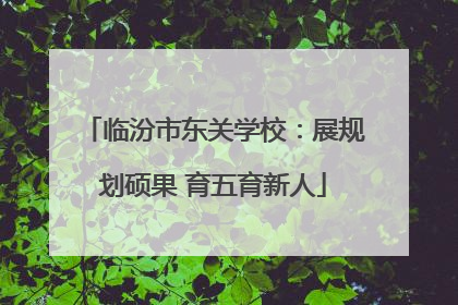 临汾市东关学校：展规划硕果 育五育新人