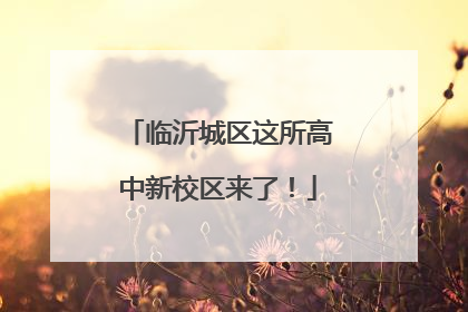 临沂城区这所高中新校区来了！