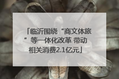 临沂围绕“商文体旅”等一体化改革 带动相关消费2.1亿元