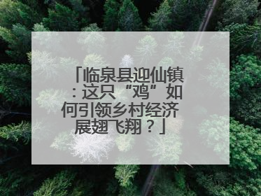 临泉县迎仙镇：这只“鸡”如何引领乡村经济展翅飞翔？