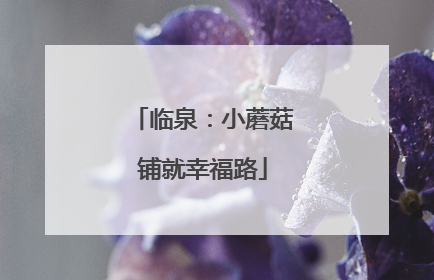临泉：小蘑菇铺就幸福路