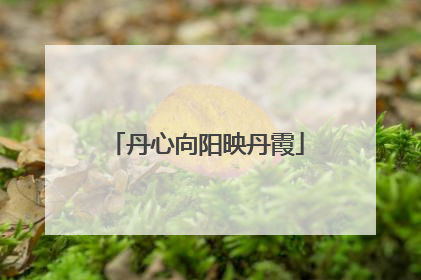 丹心向阳映丹霞
