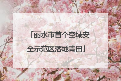 丽水市首个空域安全示范区落地青田