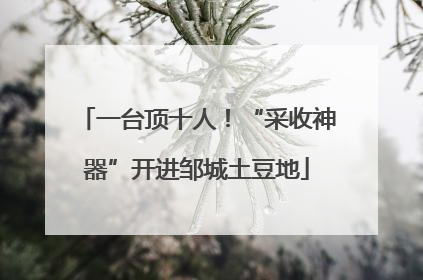 一台顶十人！“采收神器”开进邹城土豆地
