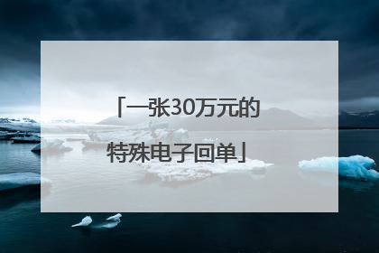 一张30万元的特殊电子回单