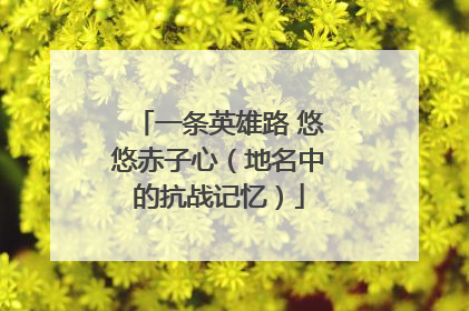 一条英雄路 悠悠赤子心（地名中的抗战记忆）