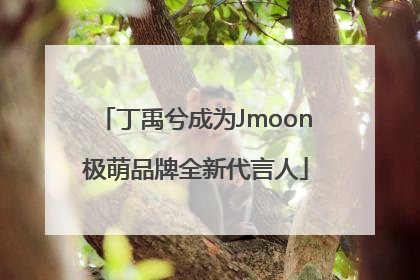 丁禹兮成为Jmoon极萌品牌全新代言人