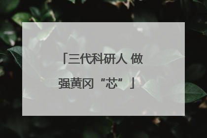 三代科研人 做强黄冈“芯”