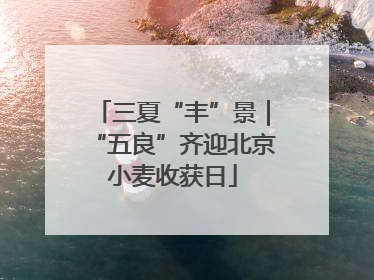 三夏“丰”景｜“五良”齐迎北京小麦收获日