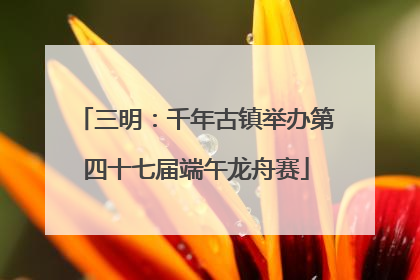 三明：千年古镇举办第四十七届端午龙舟赛
