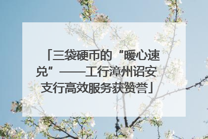 三袋硬币的“暖心速兑”——工行漳州诏安支行高效服务获赞誉