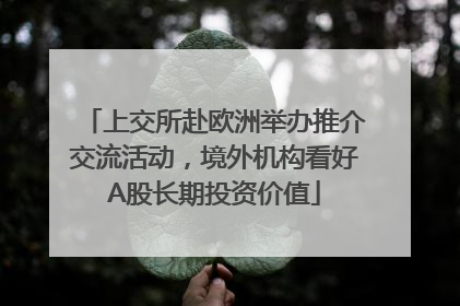 上交所赴欧洲举办推介交流活动，境外机构看好A股长期投资价值