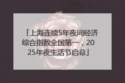 上海连续5年夜间经济综合指数全国第一，2025年夜生活节启幕