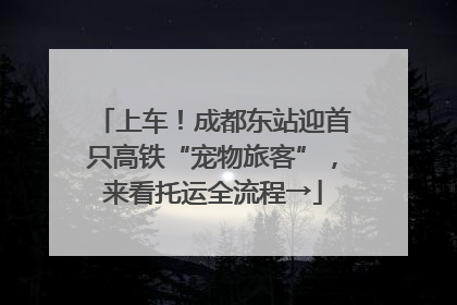 上车！成都东站迎首只高铁“宠物旅客”，来看托运全流程→