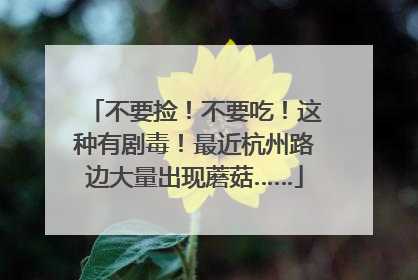 不要捡！不要吃！这种有剧毒！最近杭州路边大量出现蘑菇……