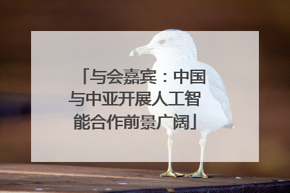 与会嘉宾：中国与中亚开展人工智能合作前景广阔