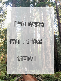 与汪峰恋情传闻，宁静最新回应