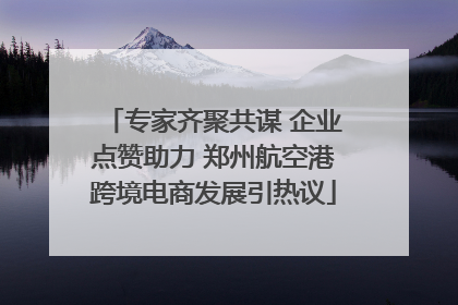 专家齐聚共谋 企业点赞助力 郑州航空港跨境电商发展引热议
