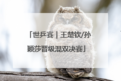 世乒赛｜王楚钦/孙颖莎晋级混双决赛