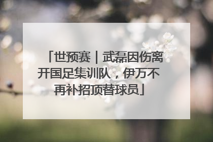 世预赛｜武磊因伤离开国足集训队，伊万不再补招顶替球员