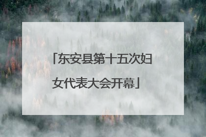 东安县第十五次妇女代表大会开幕