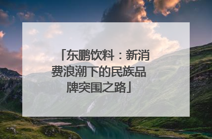 东鹏饮料：新消费浪潮下的民族品牌突围之路