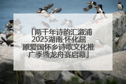 两千年诗韵汇溆浦 2025湖南·怀化屈原爱国怀乡诗歌文化推广季暨龙舟赛启幕