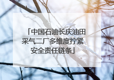 中国石油长庆油田采气二厂多维度拧紧安全责任链条