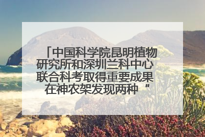 中国科学院昆明植物研究所和深圳兰科中心联合科考取得重要成果 在神农架发现两种“国保”级兰花