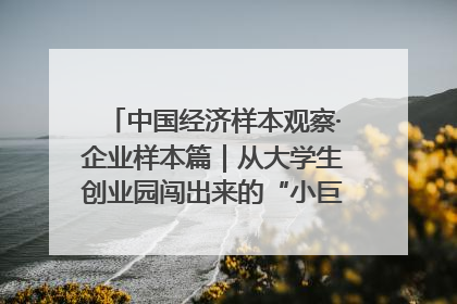 中国经济样本观察·企业样本篇｜从大学生创业园闯出来的“小巨人”——卡诺普机器人的逐梦历程