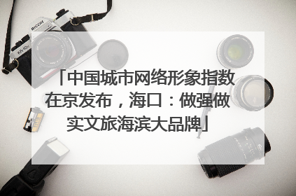 中国城市网络形象指数在京发布，海口：做强做实文旅海滨大品牌