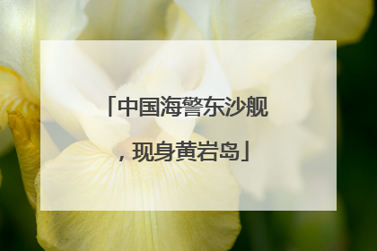 中国海警东沙舰，现身黄岩岛