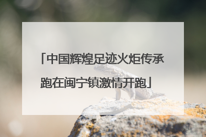 中国辉煌足迹火炬传承跑在闽宁镇激情开跑