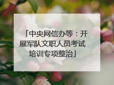 中央网信办等：开展军队文职人员考试培训专项整治